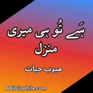 Hay Tu He Meri Manzil By Meerab Hayat