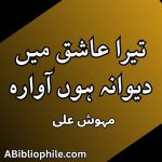 Tera Ashiq Mein Deewana Hoon Awara by Mehwish Ali featured