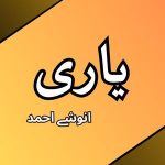 Yaari by Anushy Ahmed