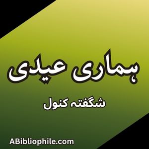 Hamari Eidi novel featured image