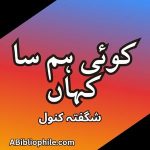 Koi Hum Sa Kahan featured image